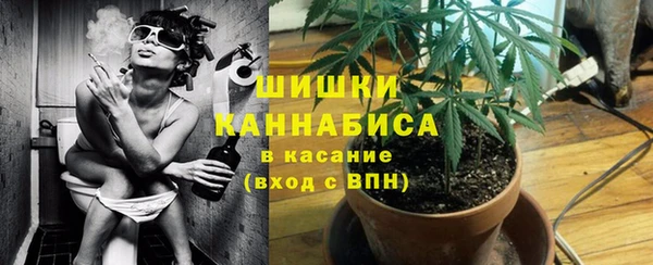 спайс Кулебаки