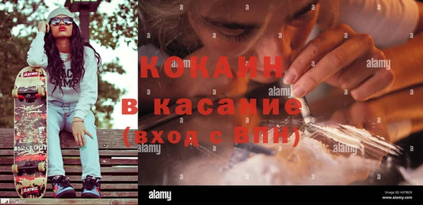 спайс Кулебаки