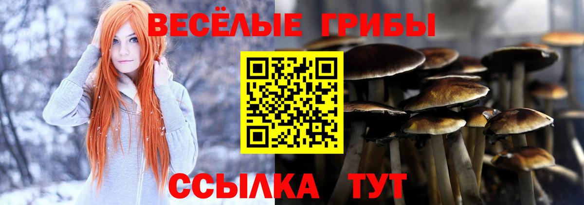 Галлюциногенные грибы мицелий Сызрань